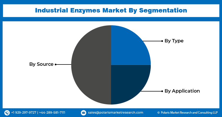 Industrial Enzymes Market Seg